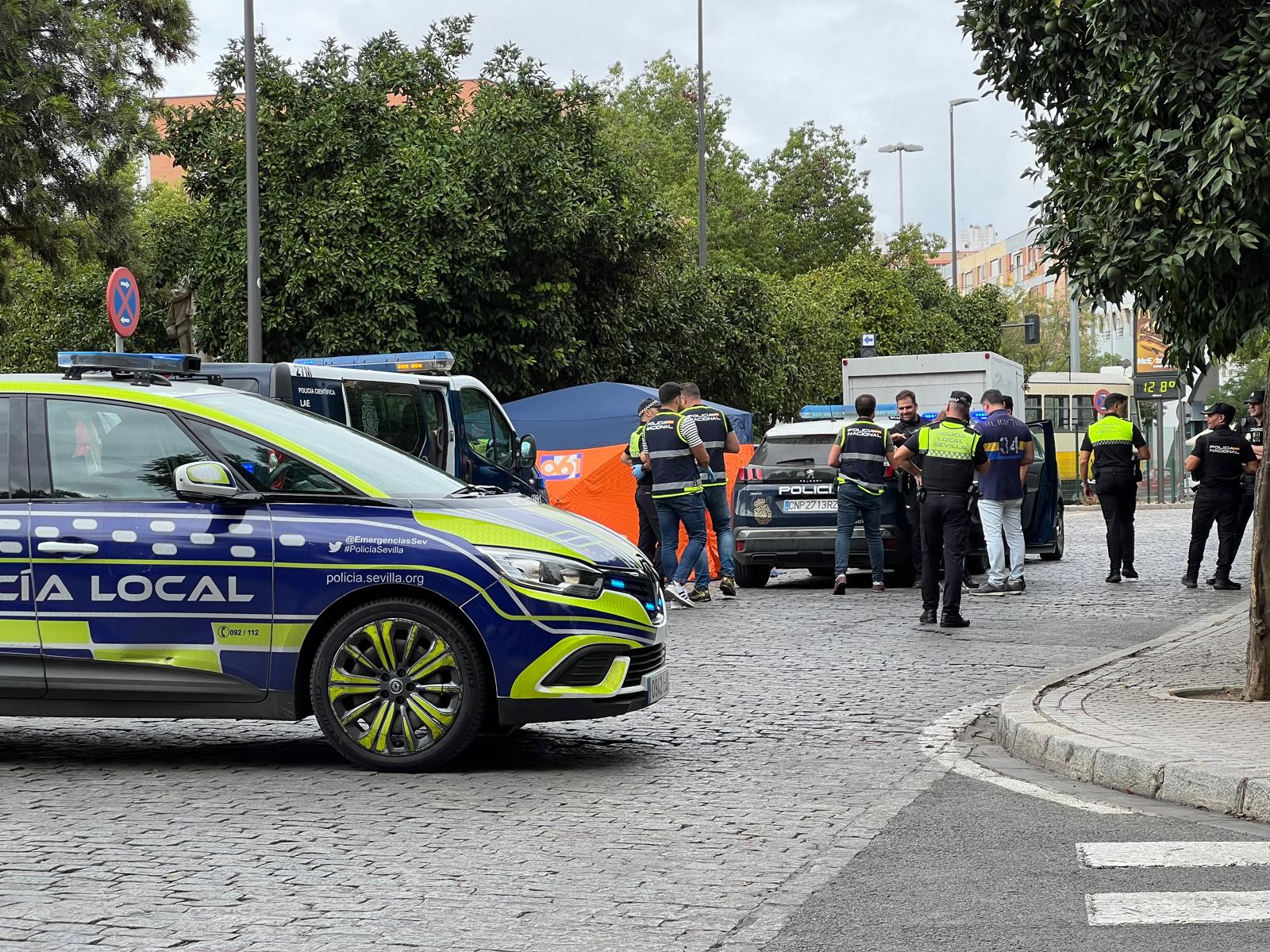 Trágico accidente: Hombre pierde la vida tras ser atropellado en la concurrida Plaza de San Martín de Porres de Triana.