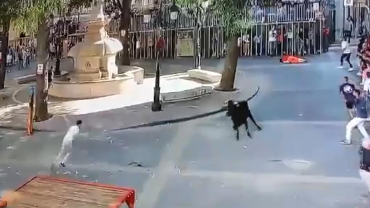 Vídeo: Mujer de 60 años muere tras ser corneada durante los festejos de ‘bous al carrer’ en Enguera.