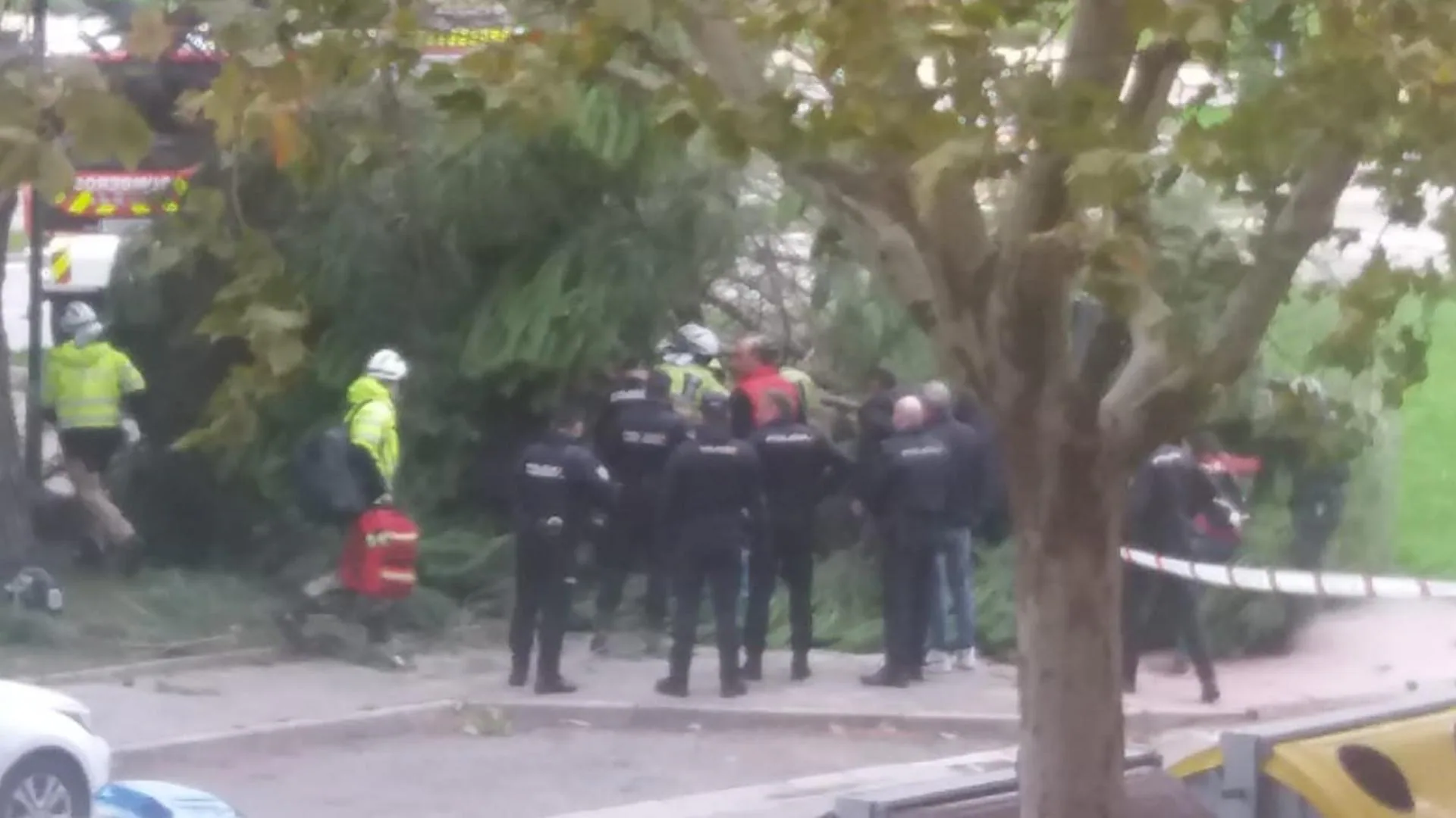 Anciano herido por la caída de un árbol en Burgos debido a la tormenta Kirk