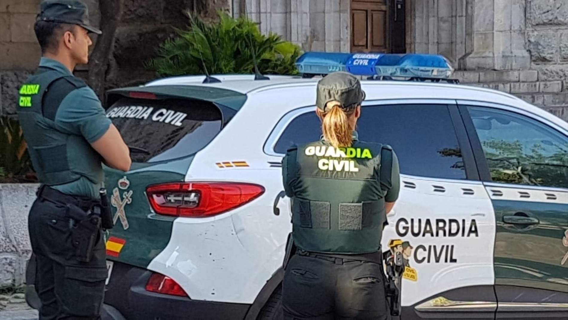 Desmantelan plantación de marihuana y capturan a fugitivo buscado por Interpol en Palafolls