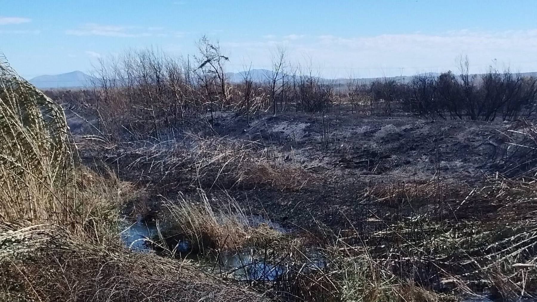 Después de 2 semanas de temor, finalmente se extingue el incendio en s’Albufera, quemando 109 hectáreas de cañas