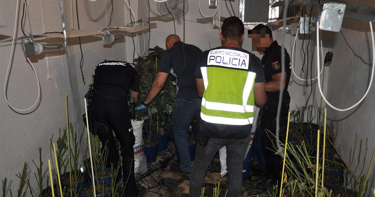 Imagenes del desmantelamiento por parte de la Policia Nacional - POLICIA NACIONAL