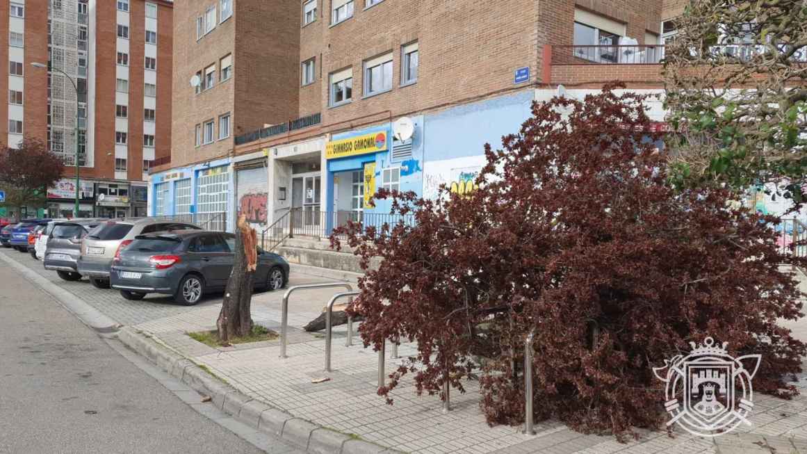 Rachas fuertes de viento en Castilla y León dejaron siete heridos leves, dos de ellos en Soria