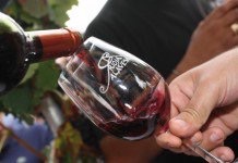 Ríoja Alavesa se enfrenta a una crisis por el exceso de vino almacenado y la disminución del consumo