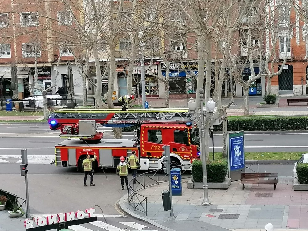 Aceptar las cookies: apoye la información veraz en línea y mantenga informado sobre Valladolid y su provincia, sin pagar ni suscribirse, con El Día de Valladolid