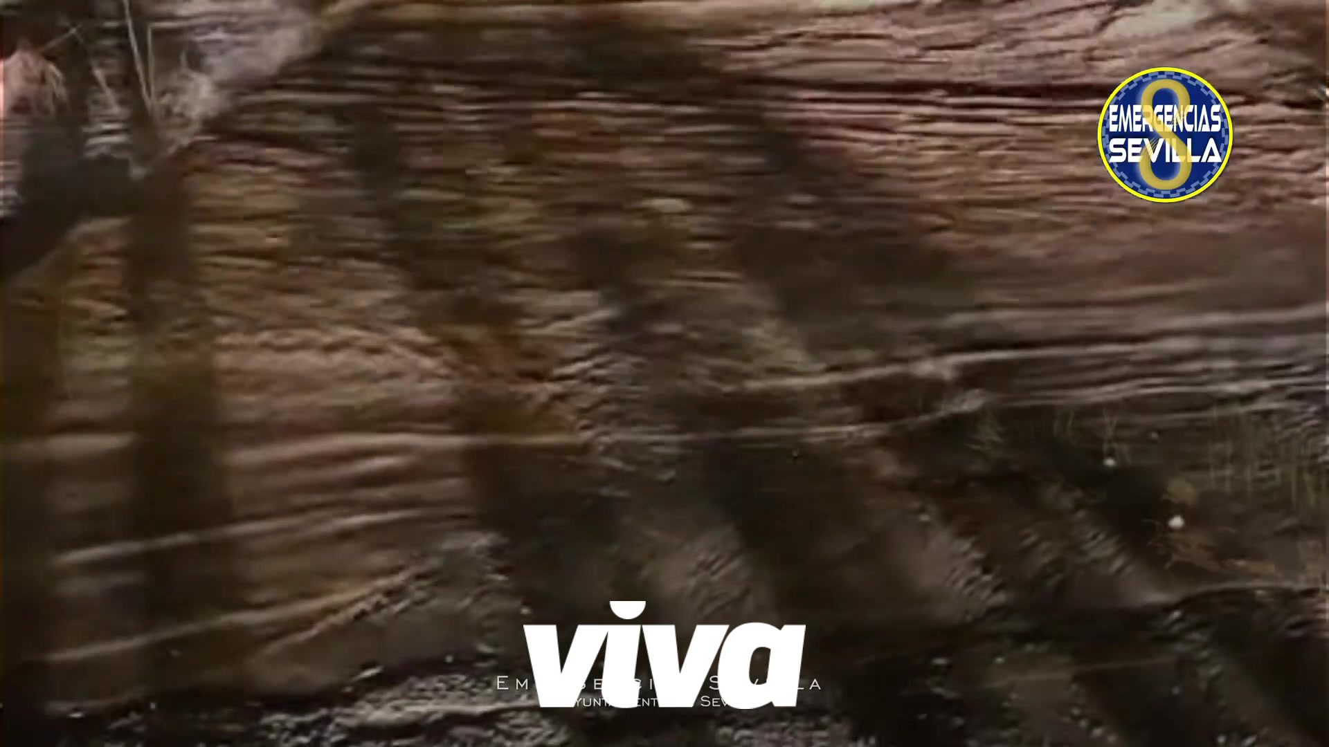 Alerta en la ribera del Guadalquivir por el paso de la borrasca Martinho: desalojo preventivo en El Palmar de Troya y aumento del caudal del Tamarguillo