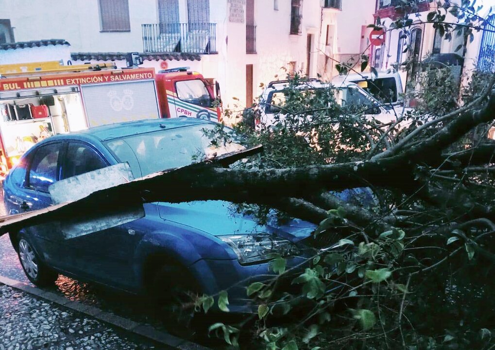 Un árbol cae encima de un coche en la Sierra y obstaculiza el tráfico