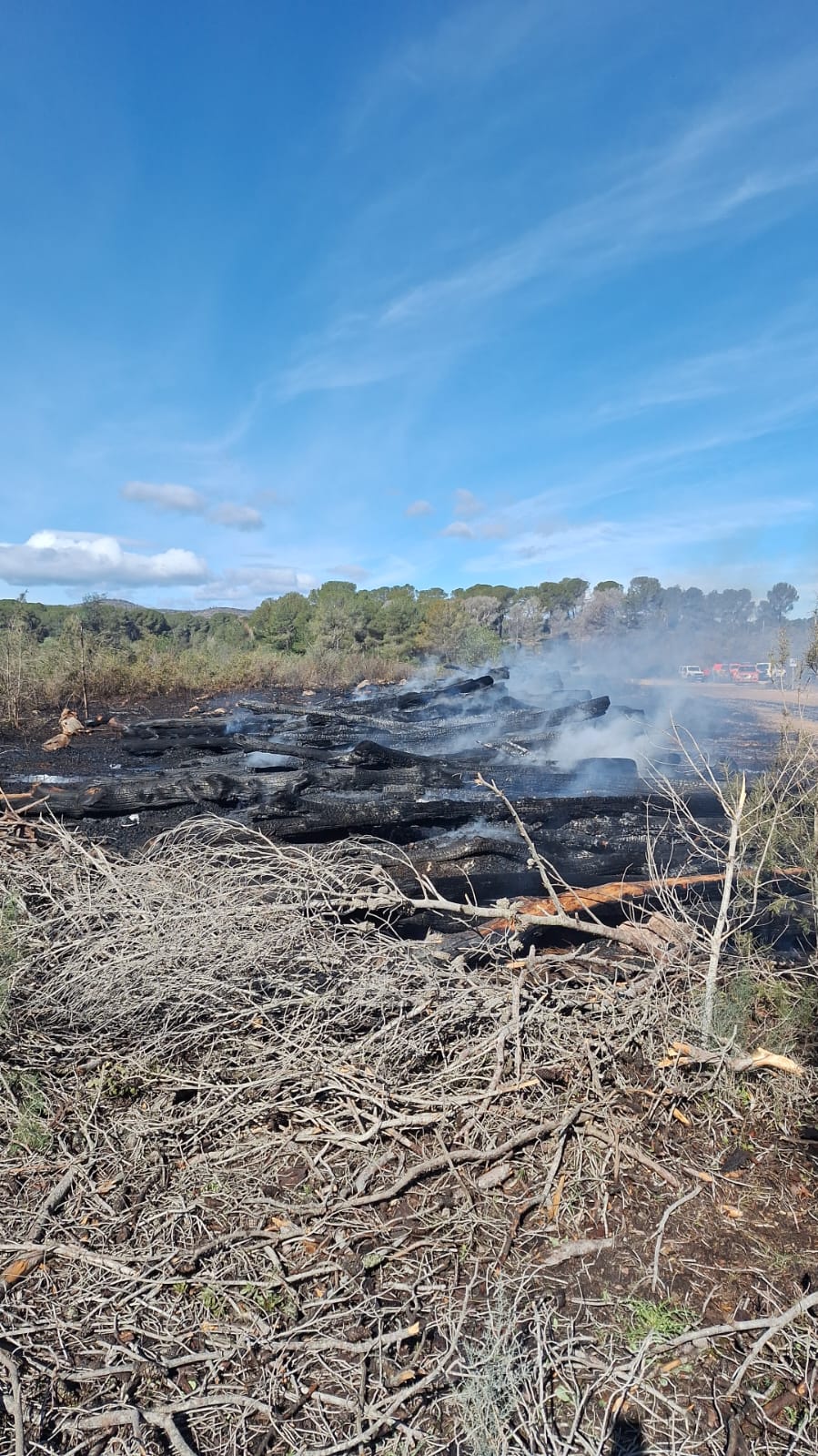 Declarado incendio forestal en Guadassuar: Bomberos trabajan en su extinción