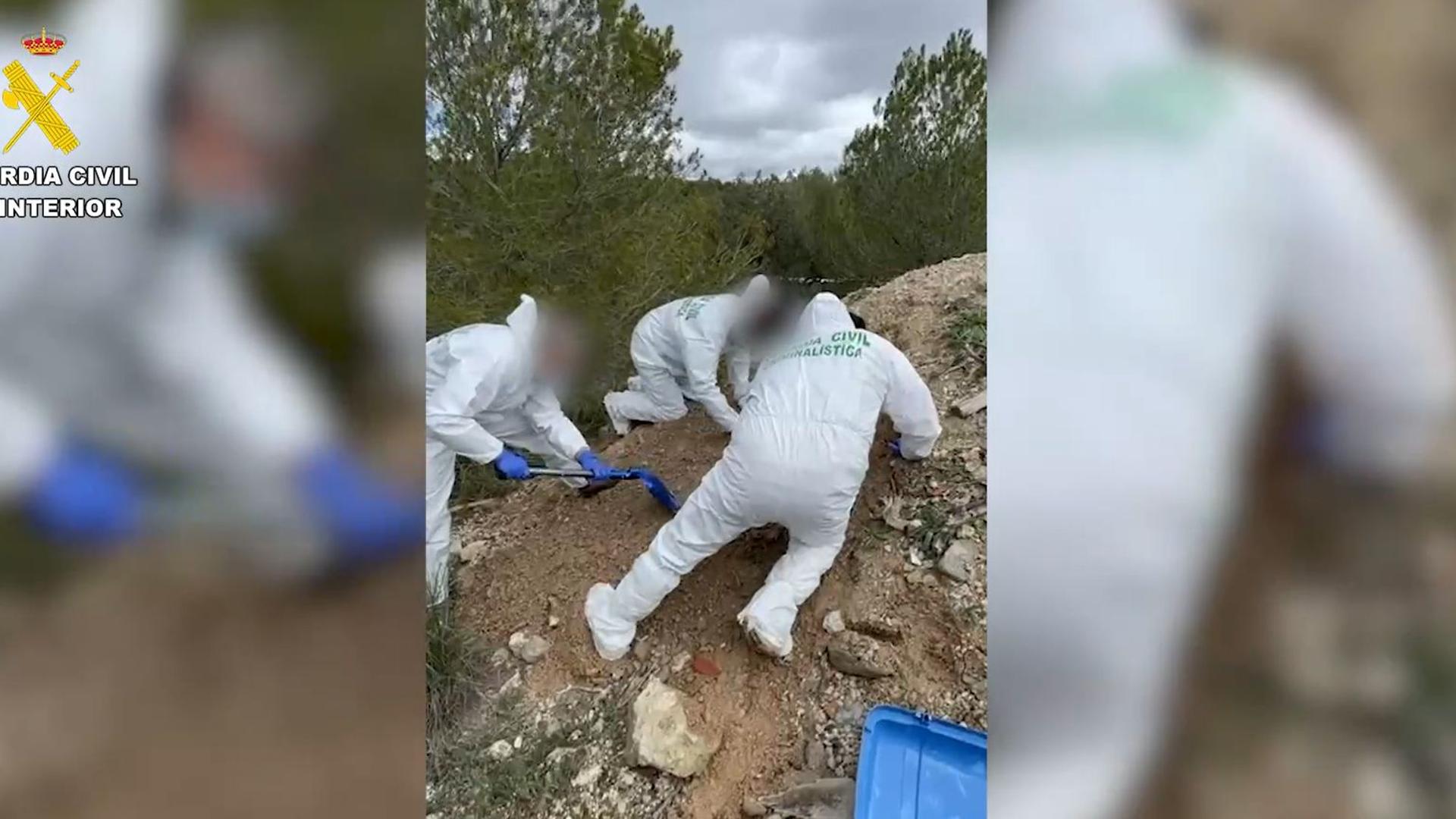 Cae una banda de narcos que traficaba con cocaína desde Alicante y la vinculan con un asesinato en Granada