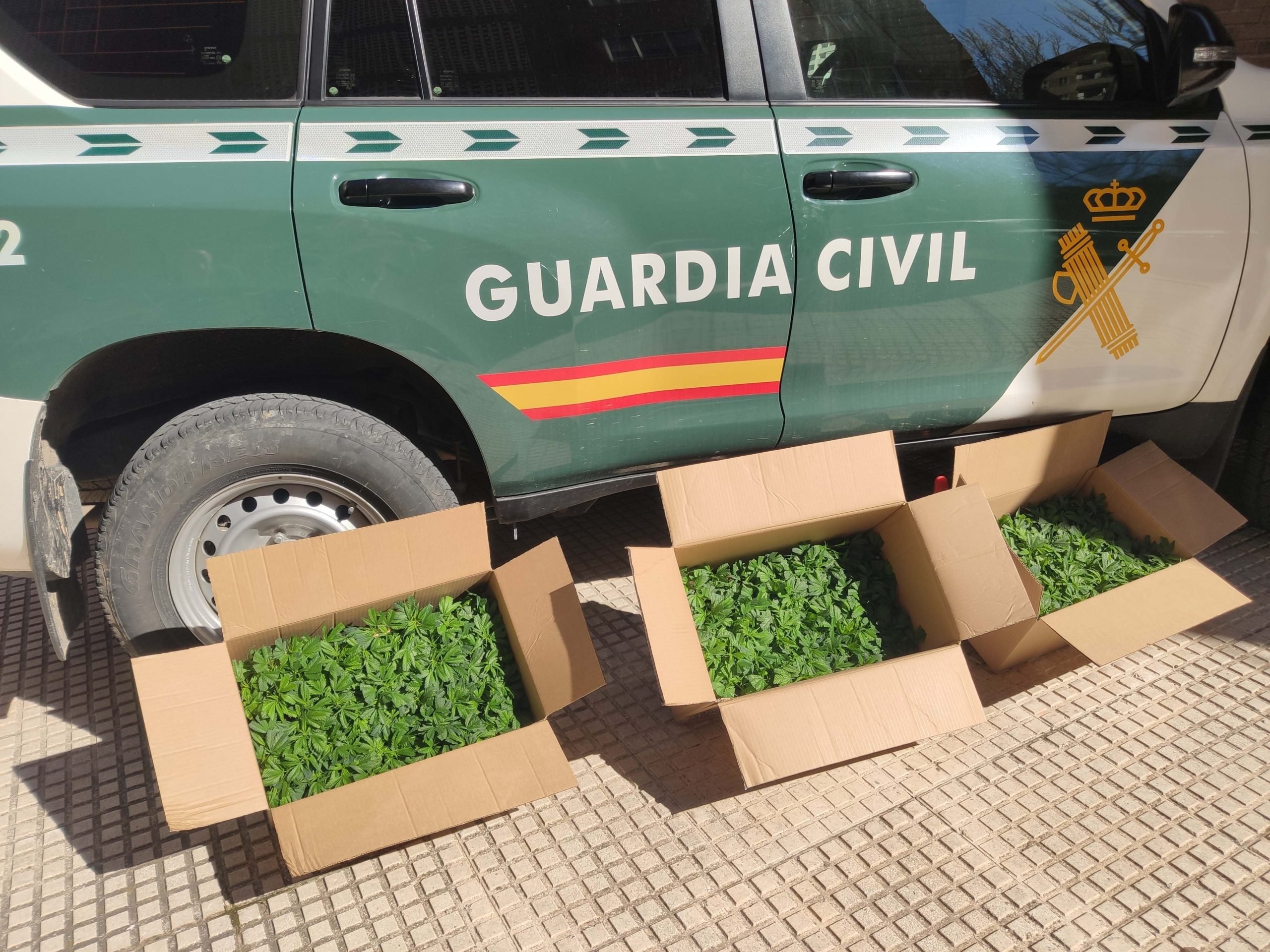 El olor a marihuana facilitó esta detención