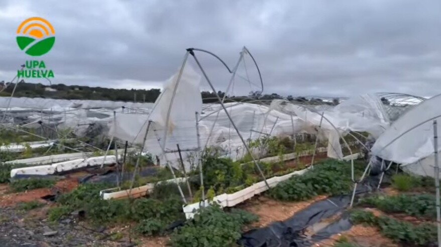 Vídeo | Así han quedado los campos de frutos rojos onubenses tras el paso del tornado