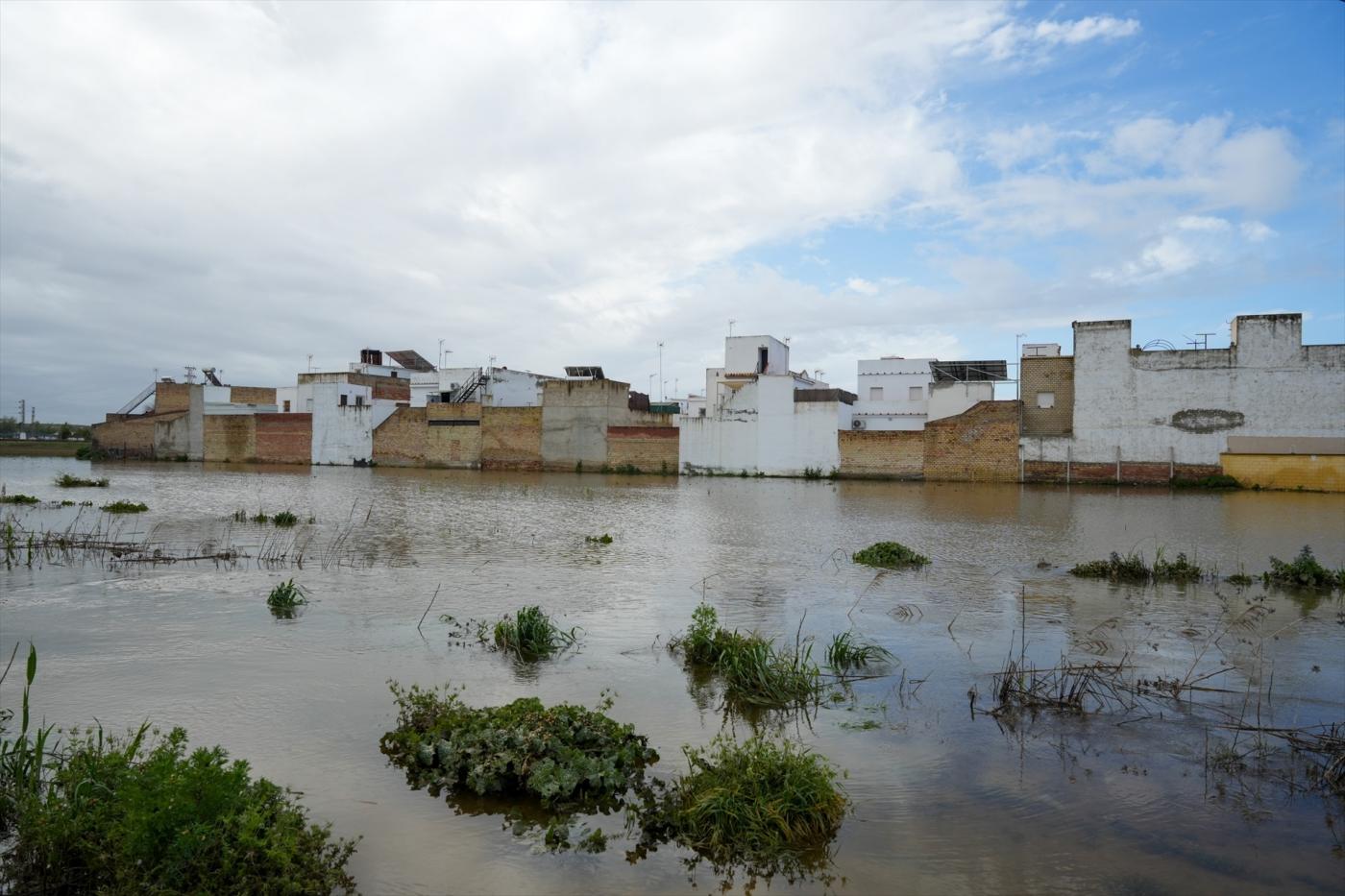 Zonas inundada en El Palmar de Troya. - E.P.