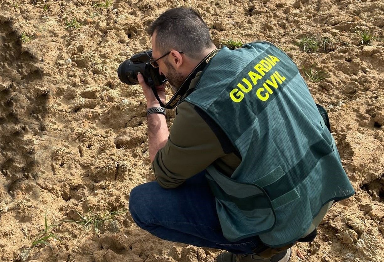Saqueo al patrimonio de Zamora: tres investigas por causar daños en un importante yacimiento arqueológico