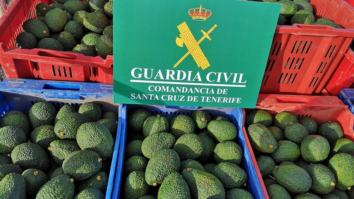 La Guardia Civil desmantela banda de ladrones de aguacates en Tenerife