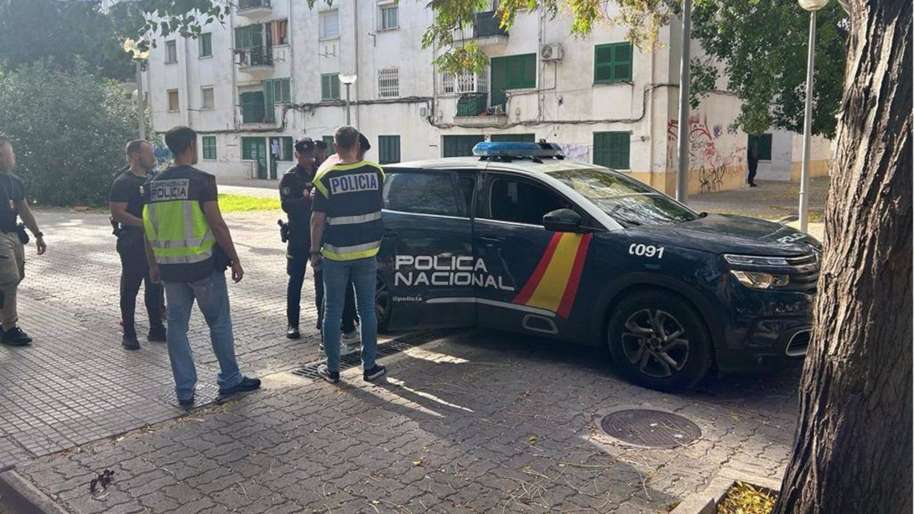 Operación antidroga en Son Gotleu: un detenido y puntos de venta desarticulados