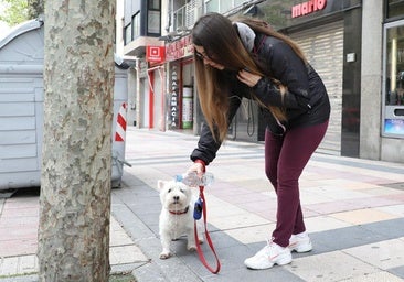 Monterrubio de Armuña se suma a la obligación de limpiar los orines de perros con agua