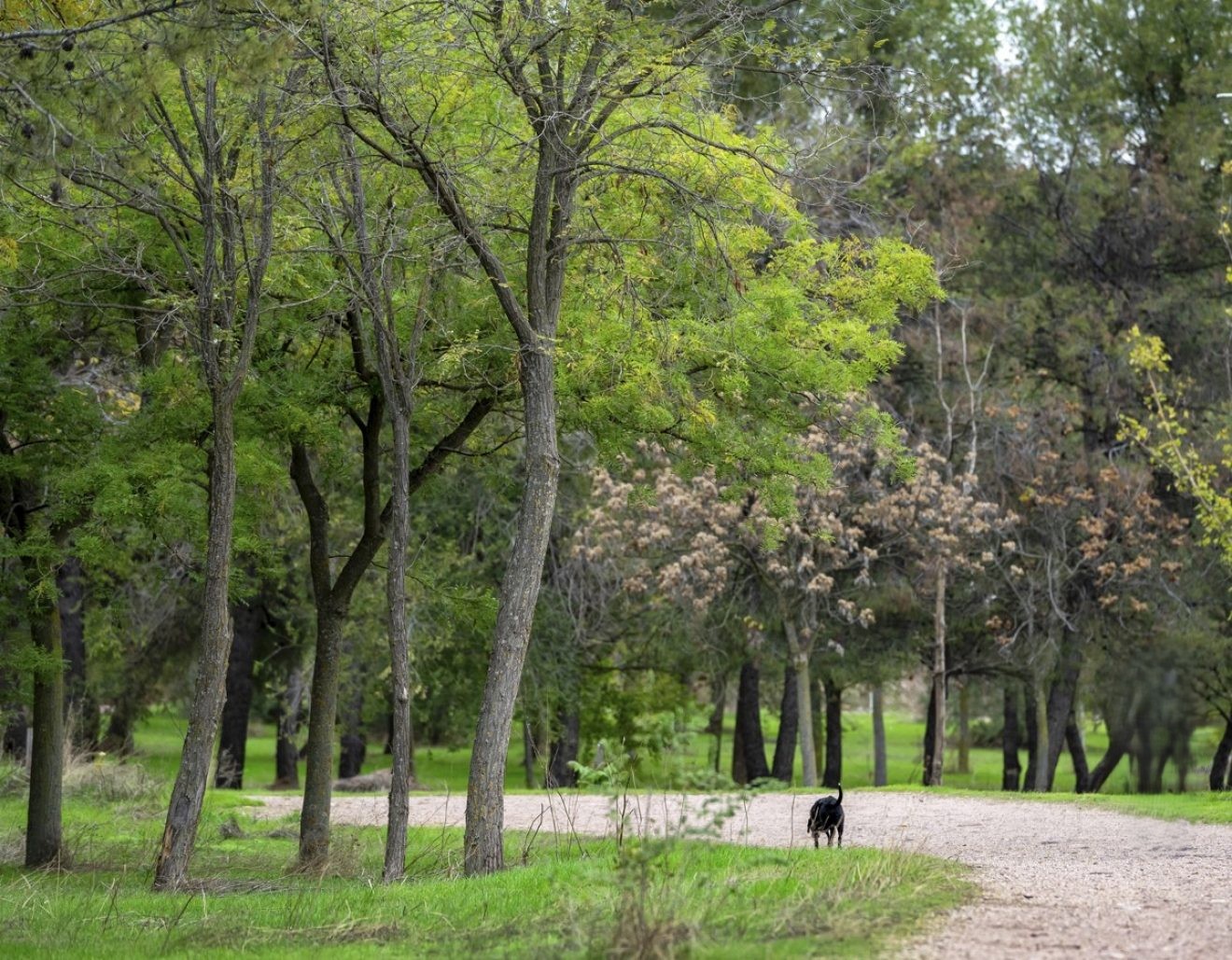 Encuentran sin vida a Ana María S.M. en el parque Pozo Norte de Puertollano