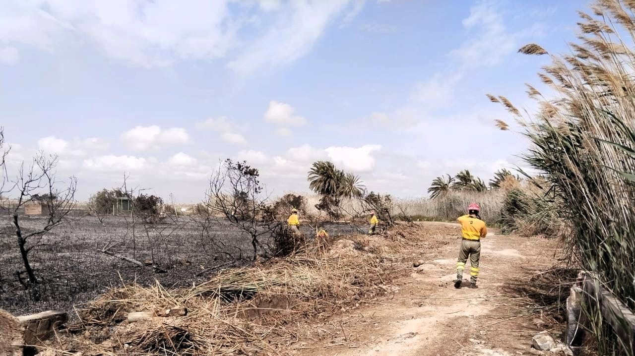 Extinguido el incendio forestal en el paraje de la Hita