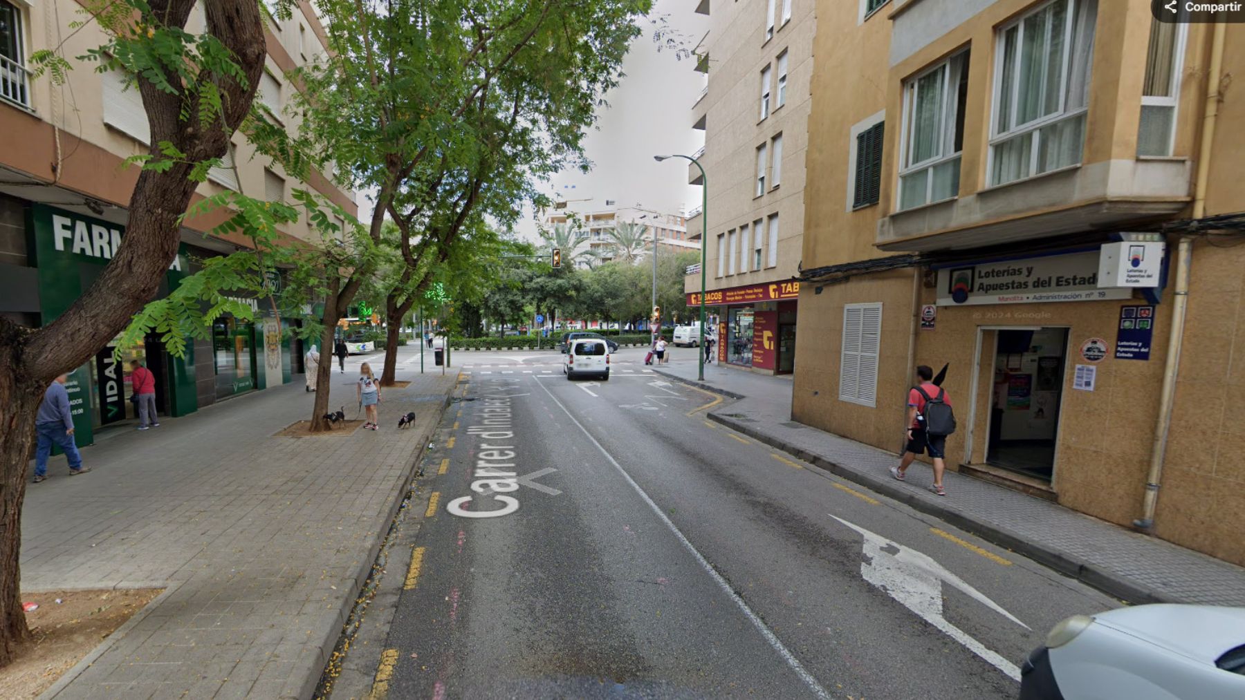 Tiroteo en Son Gotleu para detener a un maltratador huido