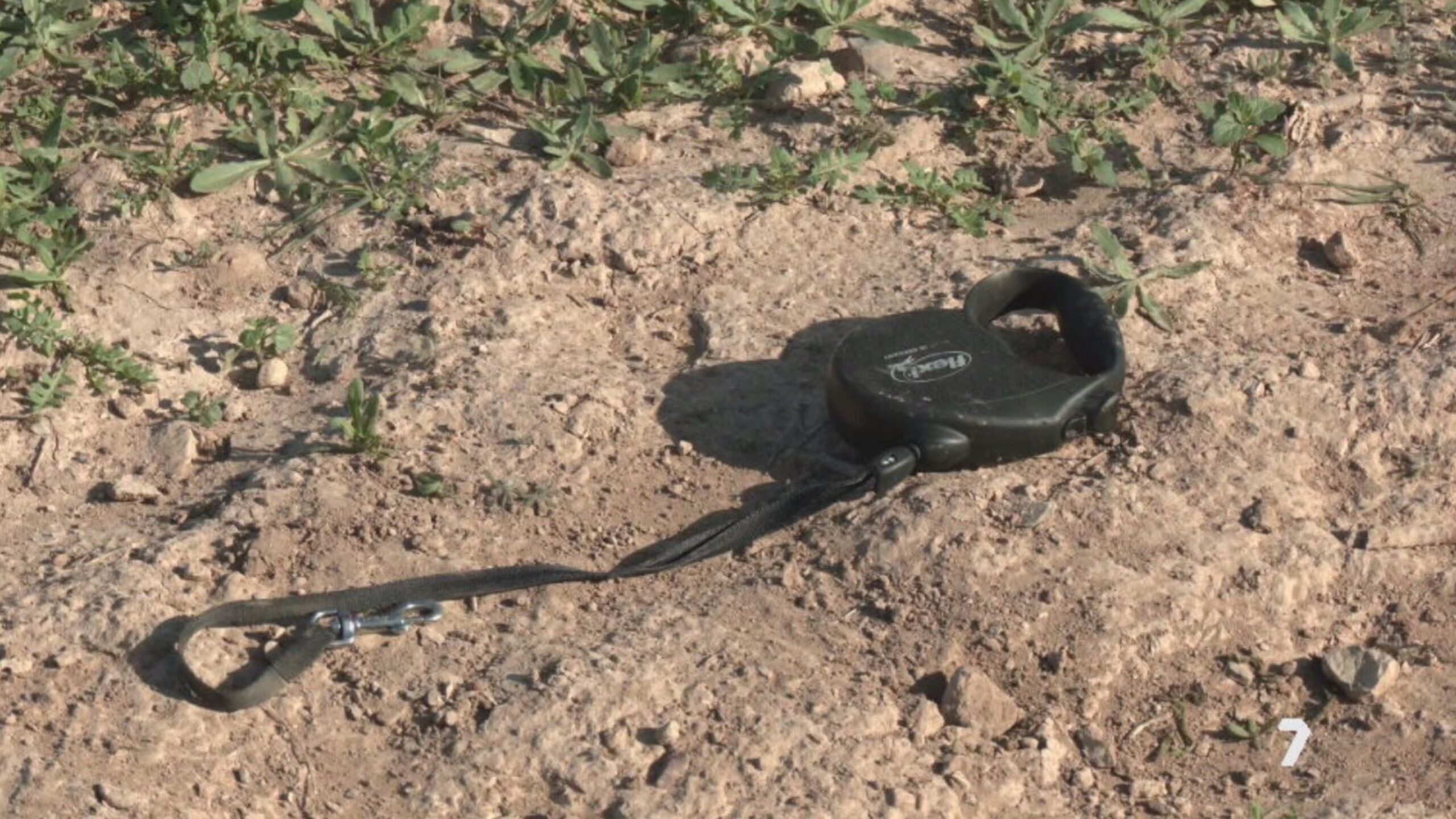 Un perro muerto y dos personas heridas tras un ataque