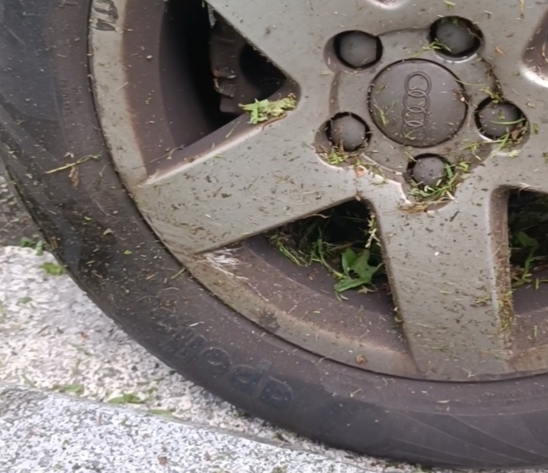 ¿Quién me limpia el coche? ¡Quejas en Vitoria!