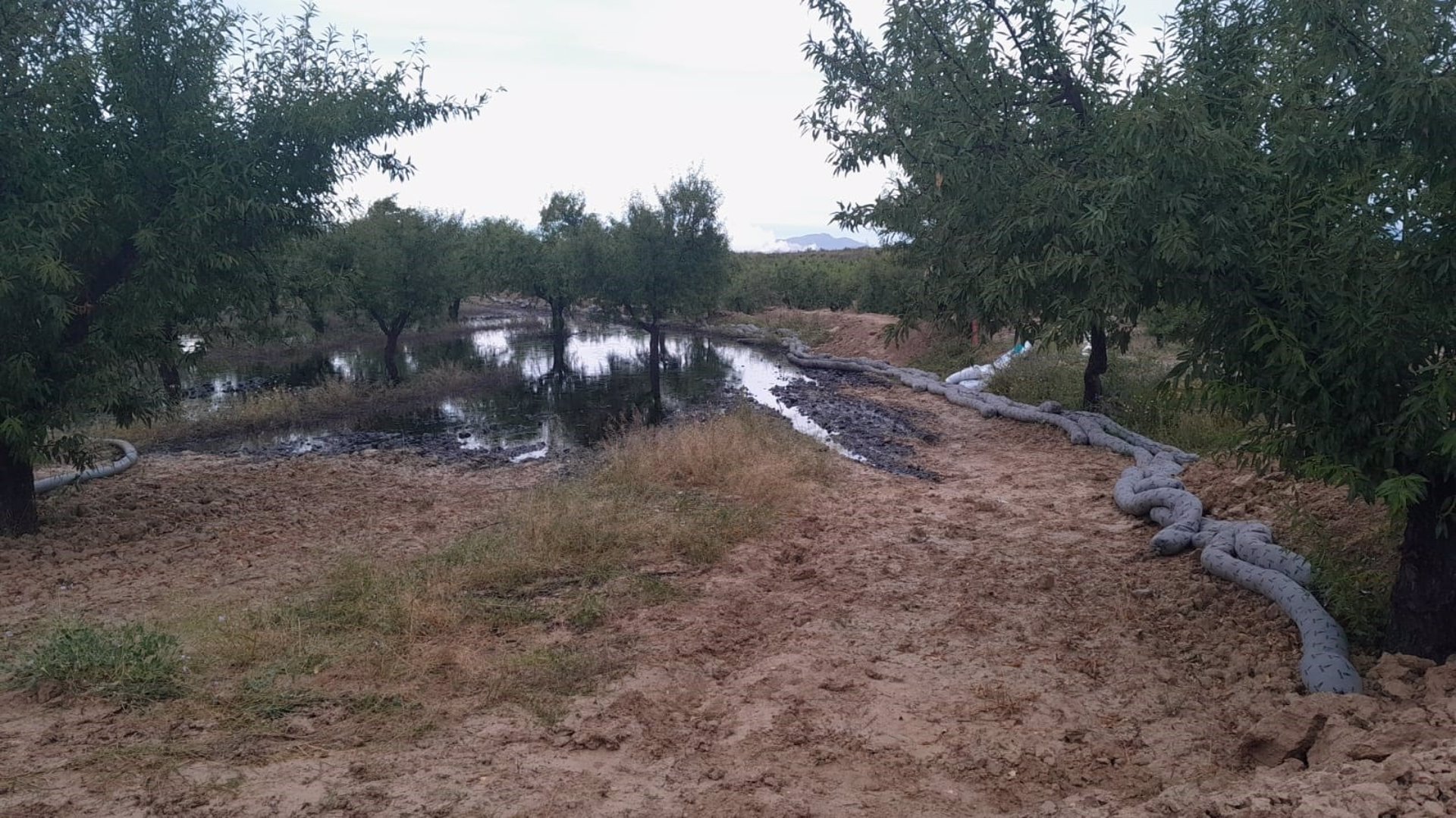 Continúan los trabajos para descontaminar el área afectada por la fuga de petróleo en Calasparra