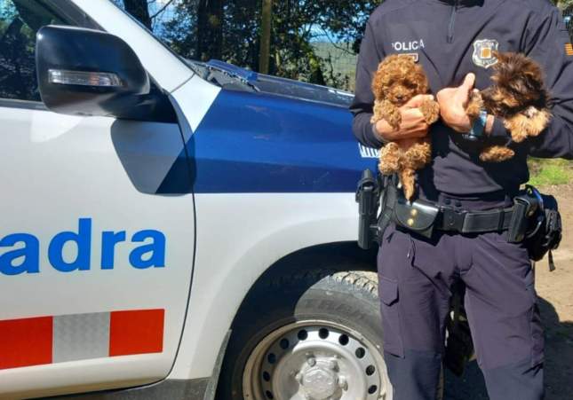 Descubren a traficantes de animales intentando introducir siete cachorros en España desde Moldavia