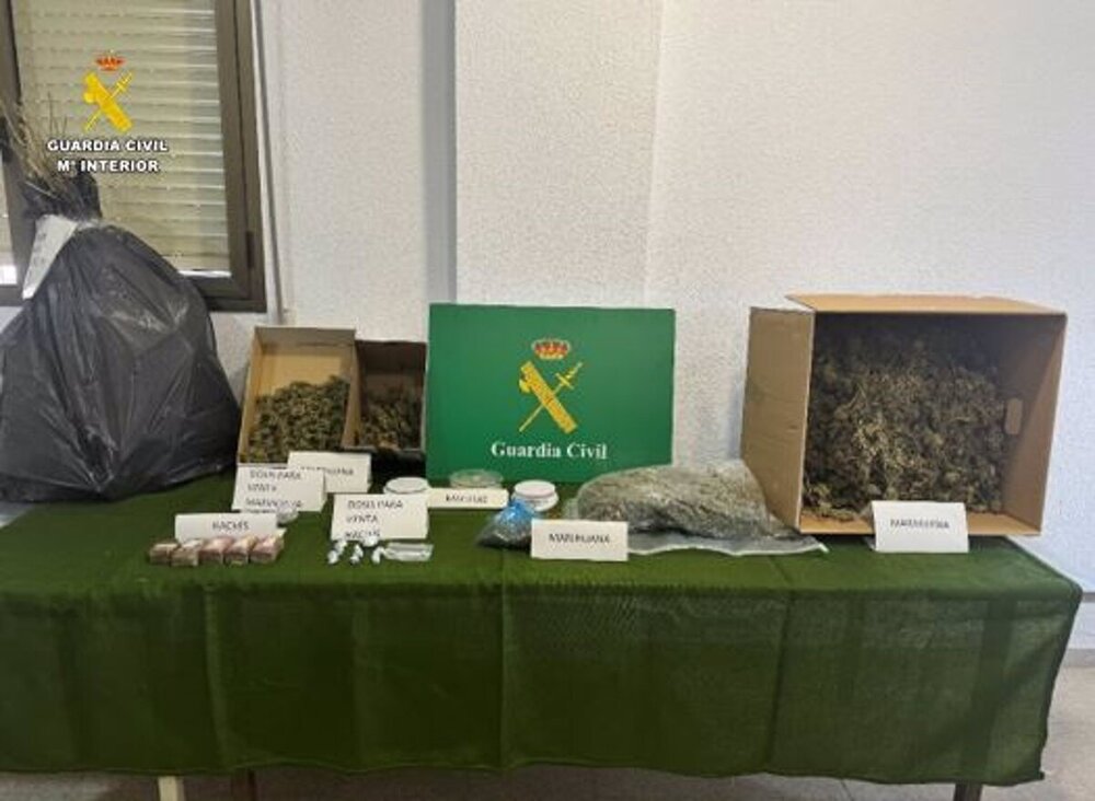 Piden casi 4 años a una pareja por cultivar marihuana en casa
