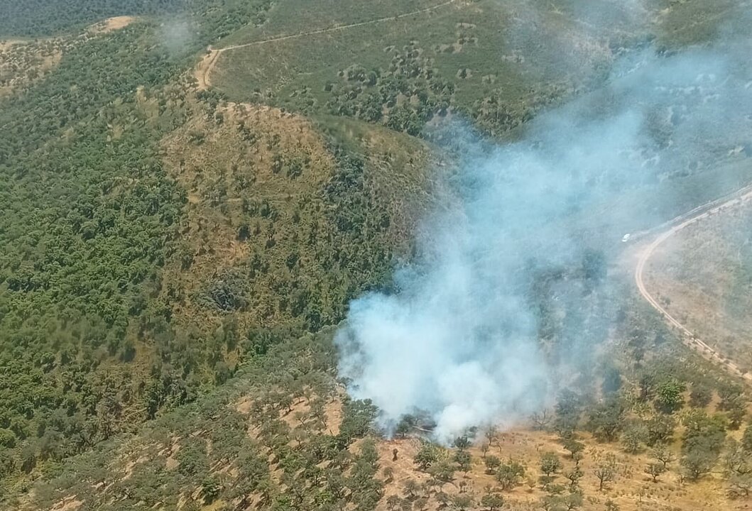El Plan Infoca combate un incendio en Cumbres de San Bartolomé