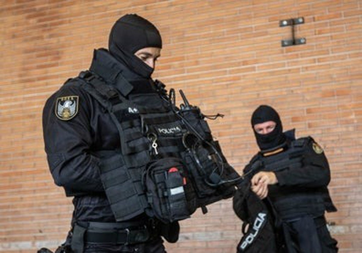 Despliegue policial en Estepona por ingreso forzoso de enfermo psiquiátrico armado