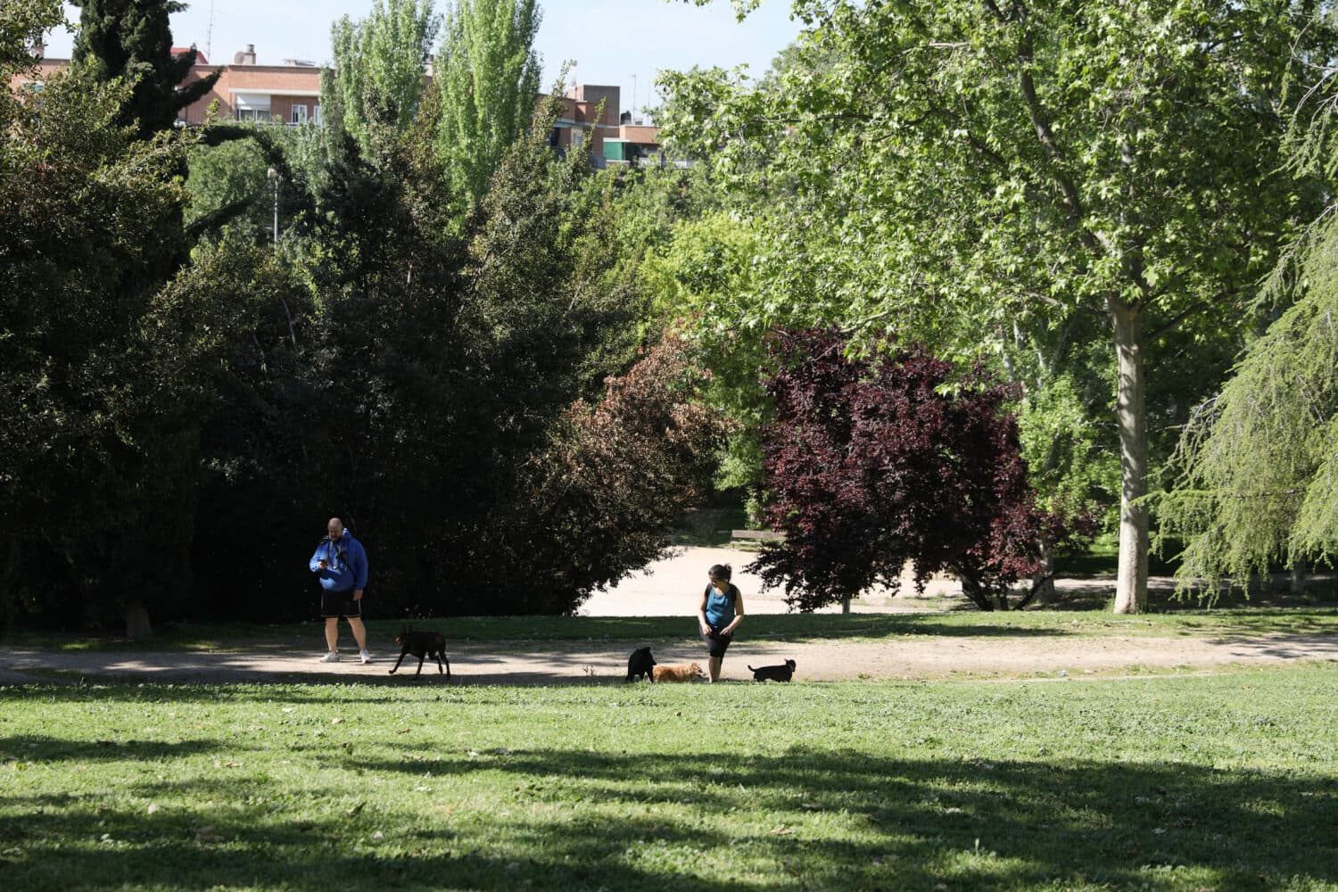 Detenido un joven acusado de agresión sexual en la pradera de San Isidro