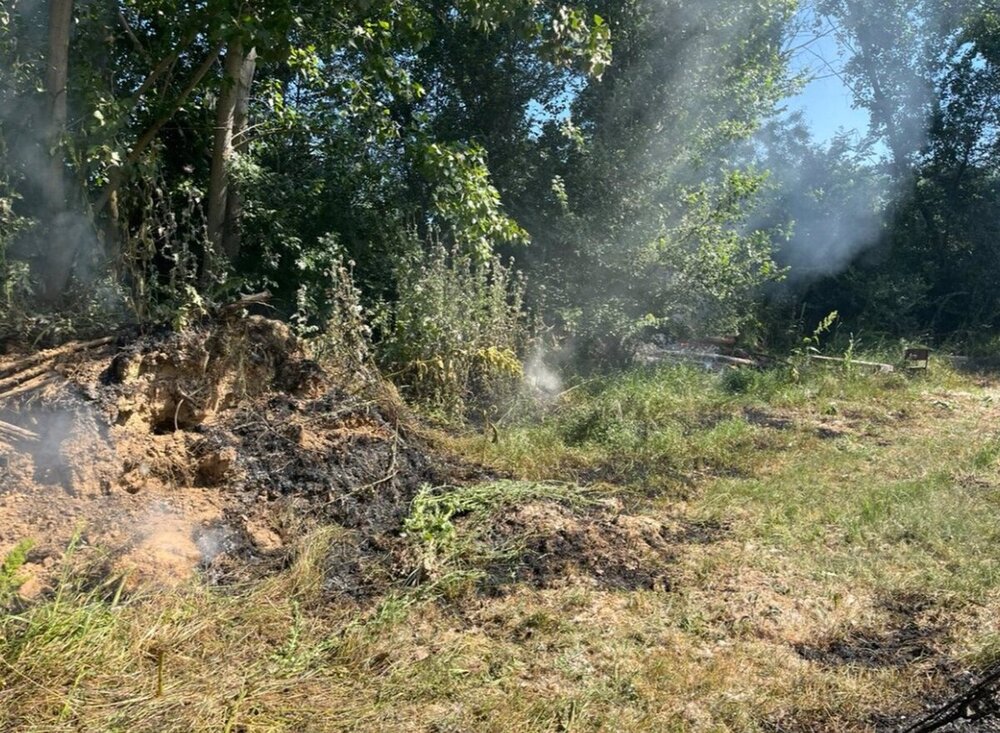 Incendio en los invernaderos de INEA provocado por pelusas de polen de chopo: intervienen Bomberos y Policía Municipal