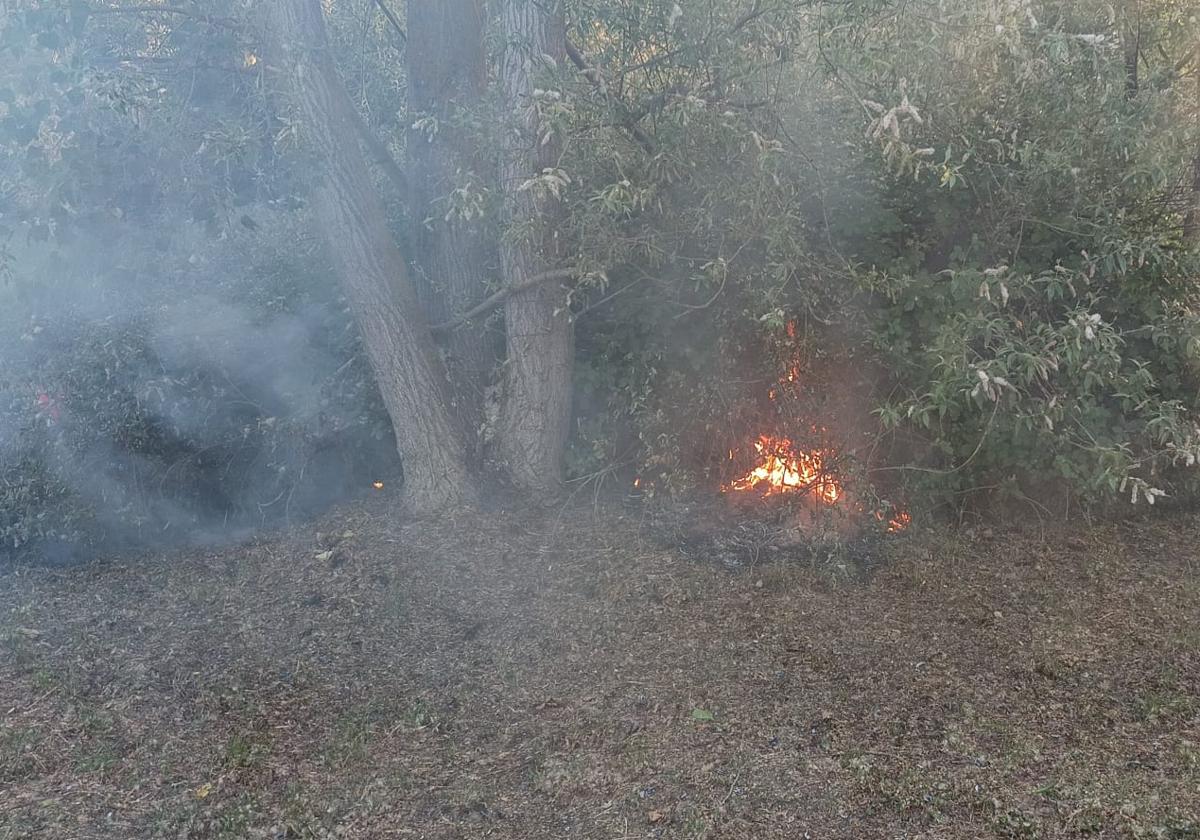Un incendio junto al río Tormes siembra la alarma en La Aldehuela