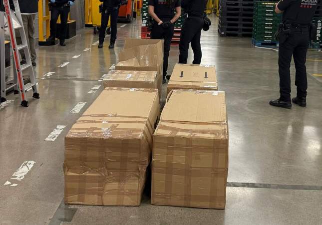 Interceptan camión cargado de fruta con 130 kilos de drogas en Sant Sadurní d’Anoia
