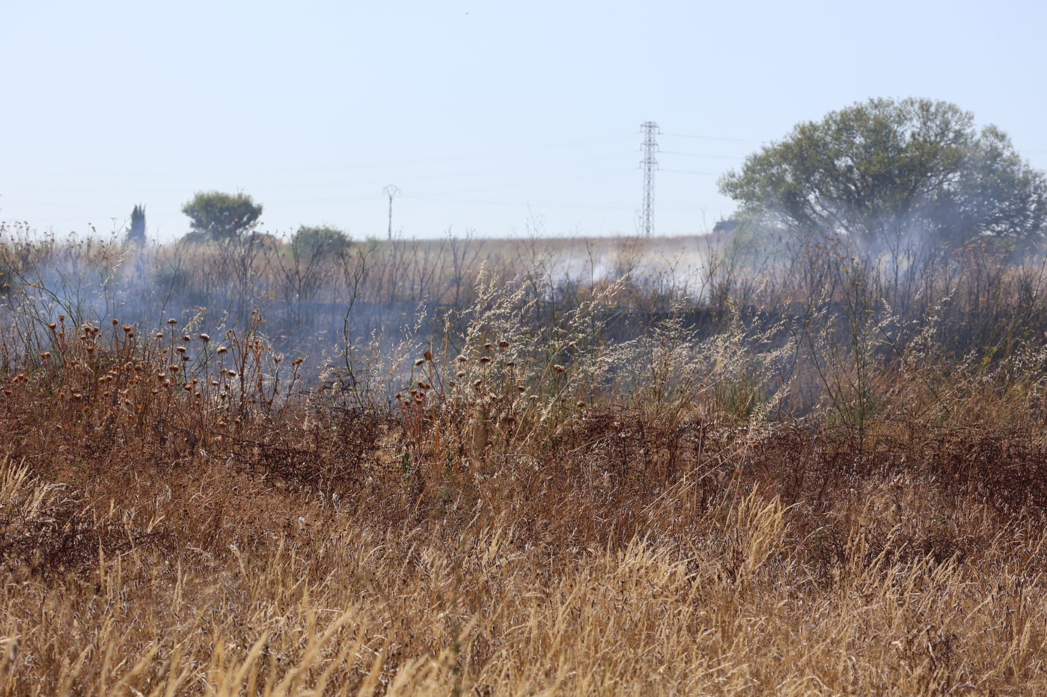 Controlado un incendio en San Miguel de Lomba, en Cobreros, sin riesgo para la población