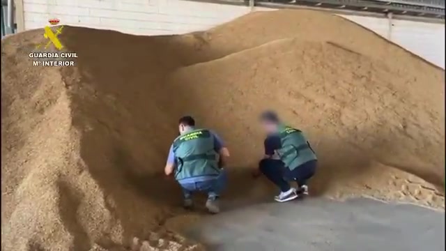 Desarticulan grupo criminal en Sevilla y Córdoba por robo de 160.000 kg de arroz