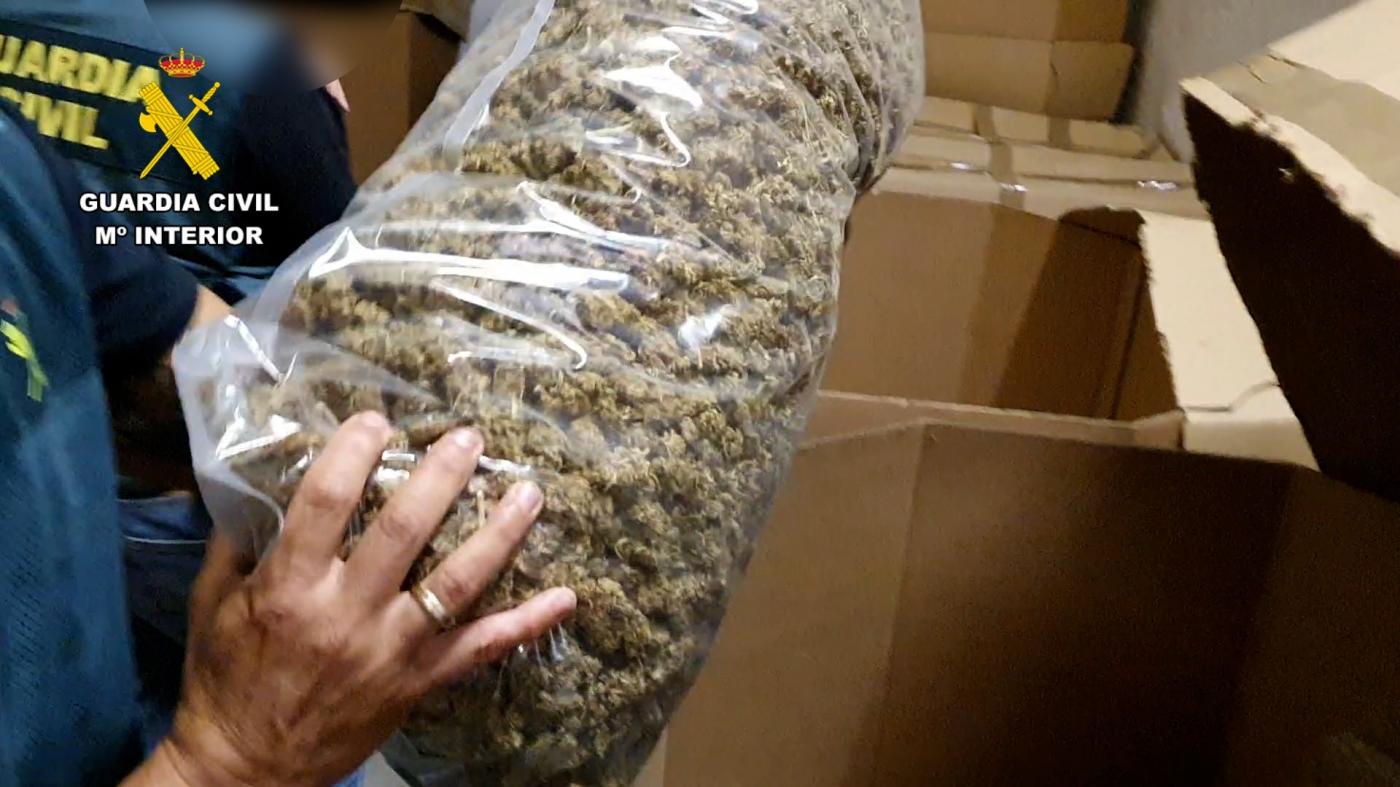Marihuana envasada. - Archivo