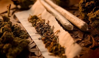 Dos detenidos en Valdemoro por transportar 15 kilos de marihuana