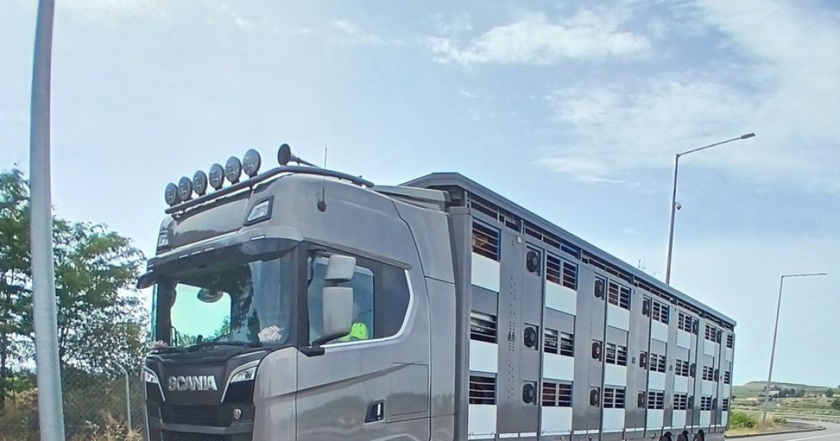 Detenidos dos camioneros en Soses por manipular el tacógrafo