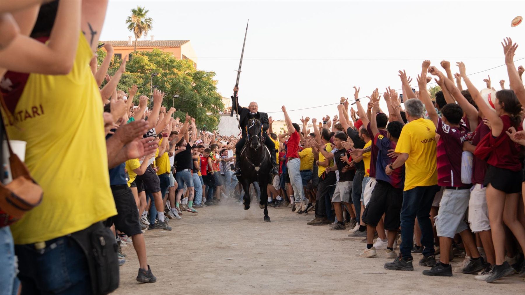 Hombre español en estado crítico tras recibir coz de un caballo en Menorca