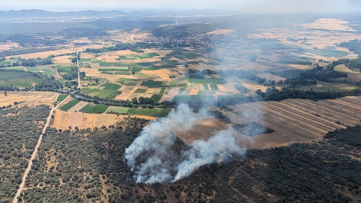 Incendio intencionado en Alija del Infantado: el mayor de la provincia de León este verano