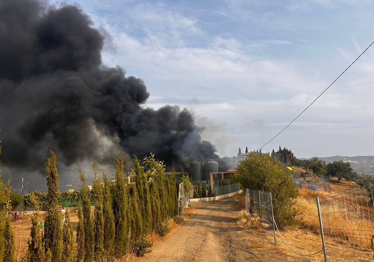Declarado un incendio forestal en Vélez-Málaga