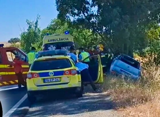 Tragedia en la carretera IP8: Fallecen una mujer de 83 años y su hijo de 53 tras impactar contra un eucalipto