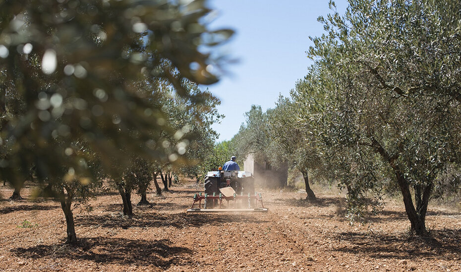 Fatal accidente agrícola: un hombre muere tras volcar su tractor