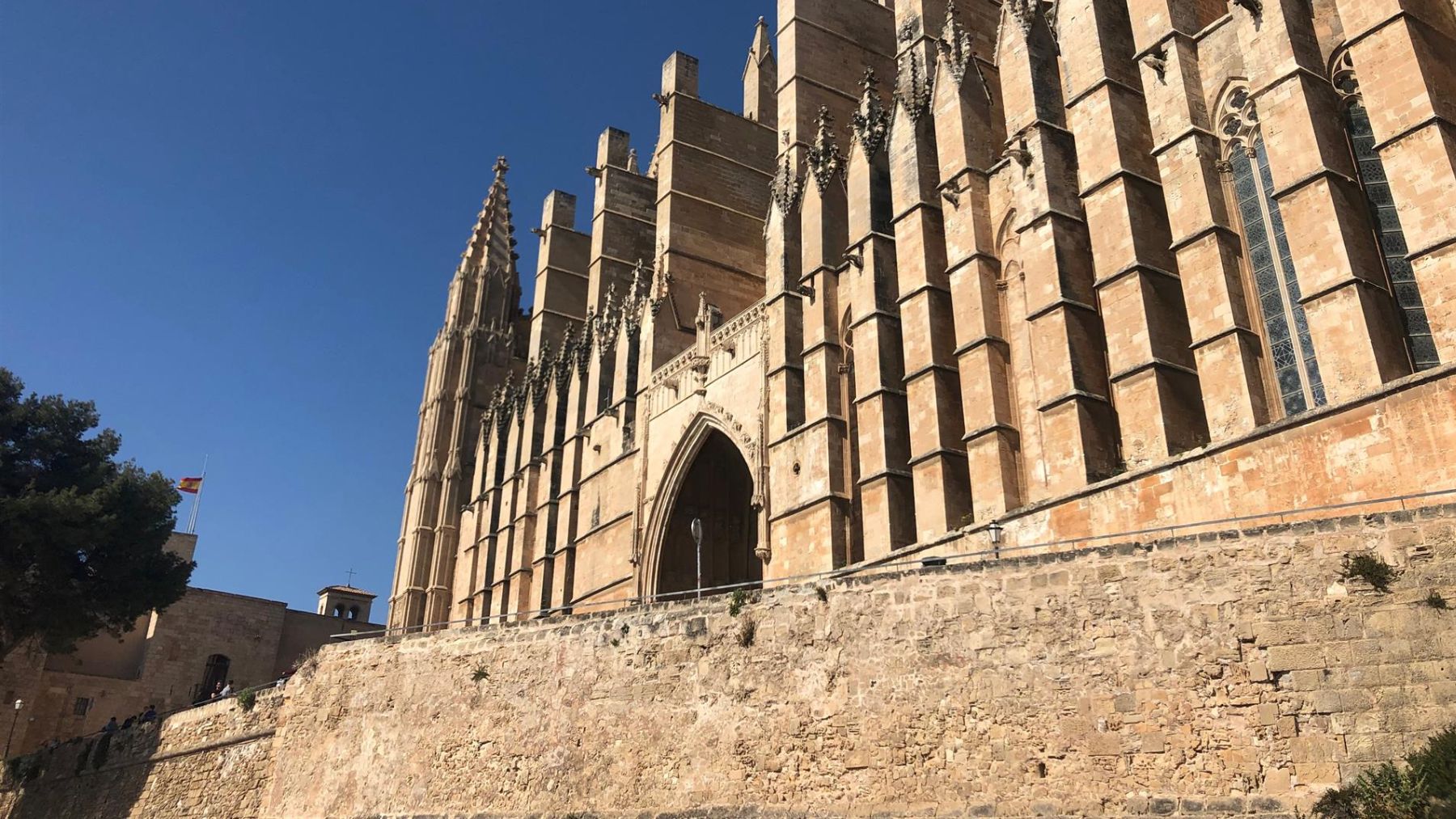 Trágico suceso en Palma: hombre de 75 años muere al caer desde la muralla de la Catedral