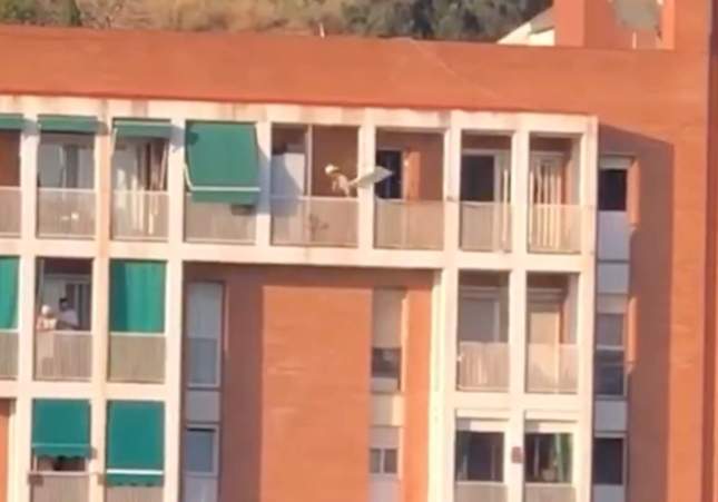 Vecinos de La Marina de Port expulsan a okupas magrebíes y toman la justicia por su mano