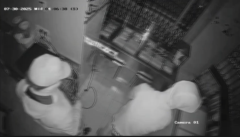 Dos encapuchados roban en una heladería de Lorca