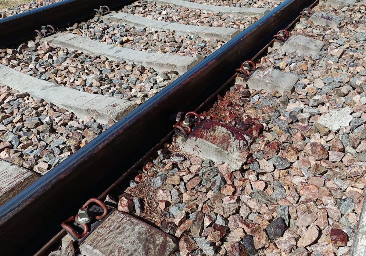 Las pistas y lagunas del atropello mortal por un tren en Salamanca: un reguero de sangre, Viogen y una discrepancia