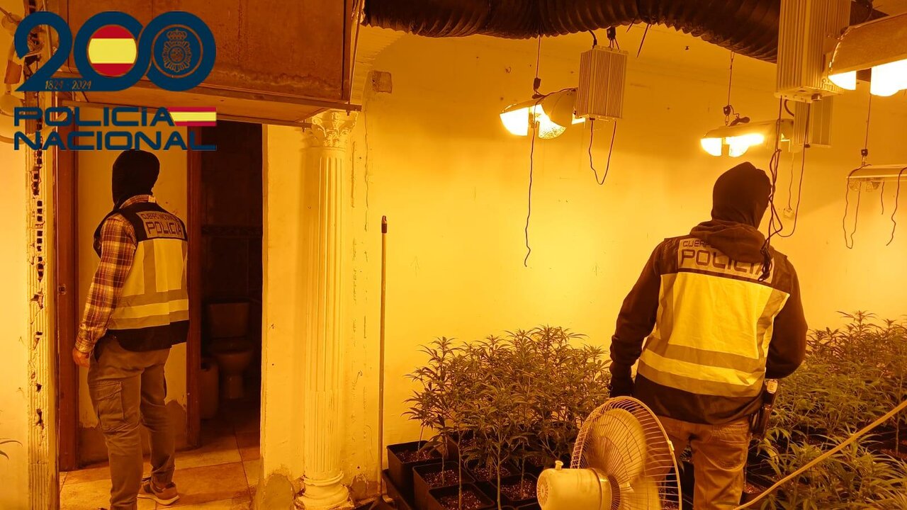 Un incendio destapa un cultivo ilegal de cannabis en pleno centro de Huelva