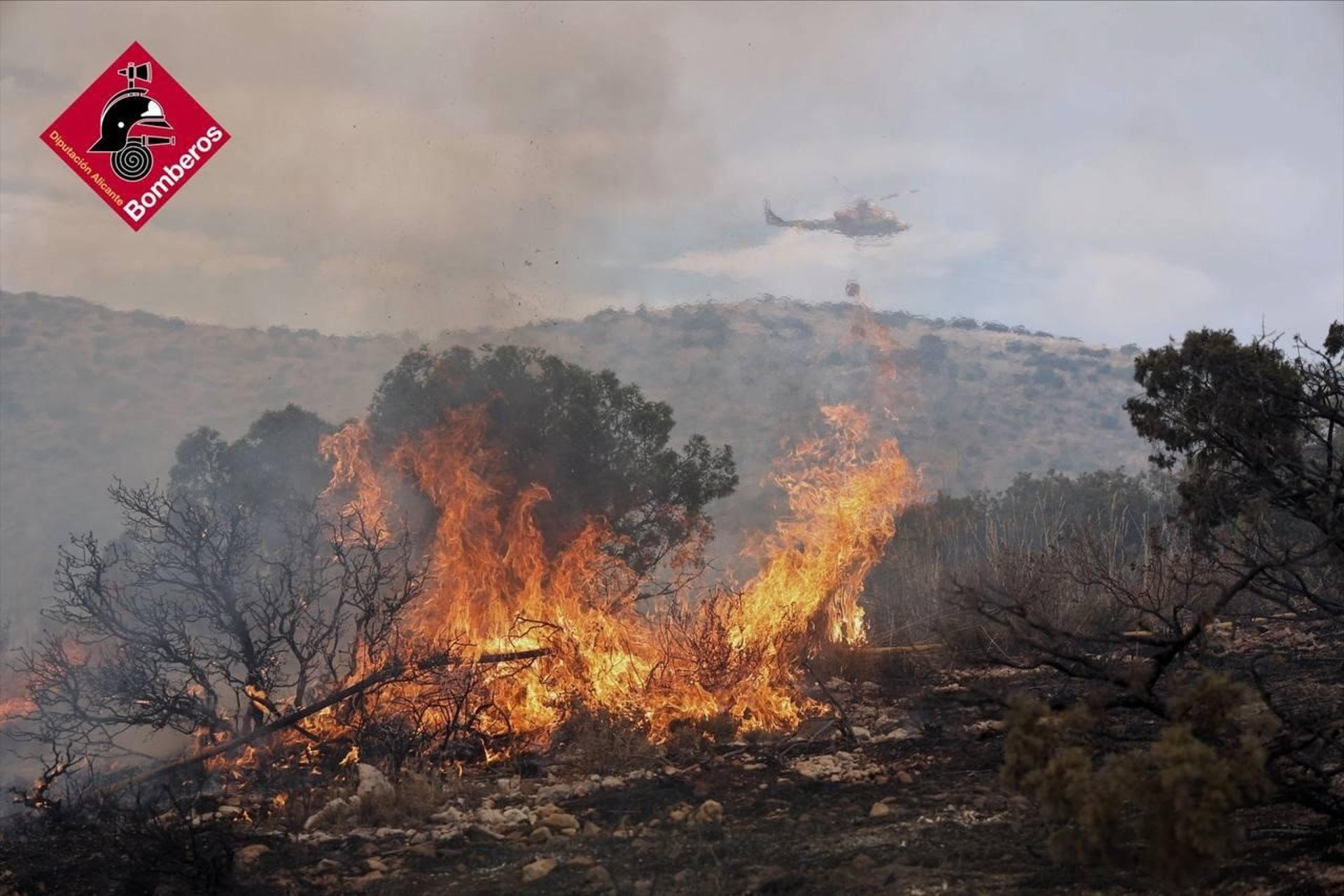 Varias dotaciones de UME y bomberos trabajan en la extinción de un gran incendio forestal en Ibi